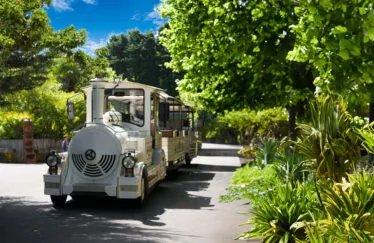 Le petit train touristique la Récré