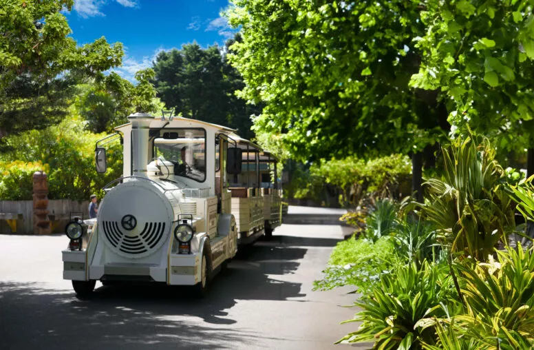 Le petit train touristique la Récré